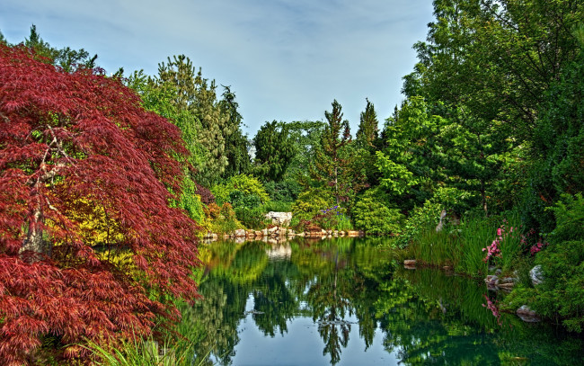 Обои картинки фото природа, парк, деревья, пруд