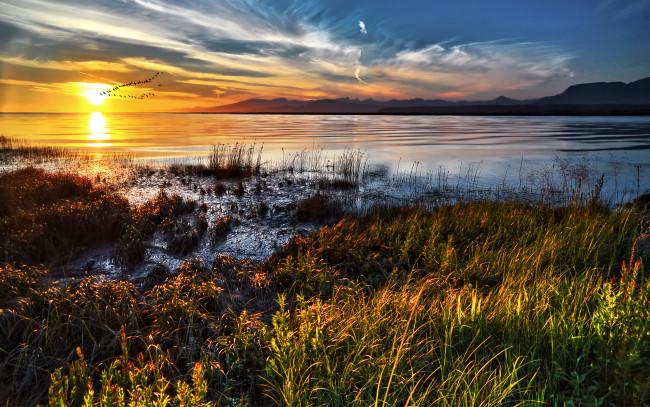 Обои картинки фото природа, восходы, закаты, закат, трава, озеро