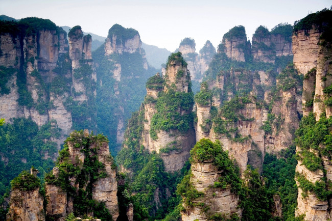 Обои картинки фото природа, горы, лес, вершины, скалы, китай