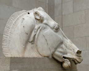 Картинка разное рельефы статуи музейные экспонаты лошадь скульптура голова