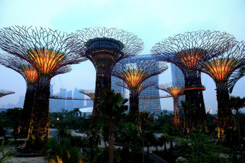 обоя города, сингапур, оранжерея