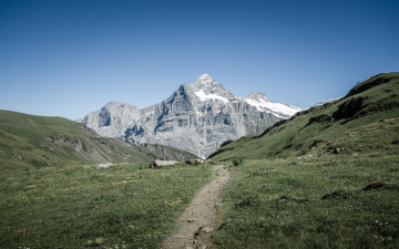 Картинка grindelwald switzerland природа горы тропинка швейцария альпы гриндельвальд alps