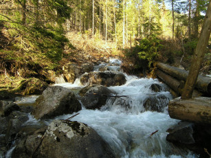 Картинка природа водопады словакия бревна камни водопад лес