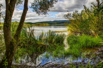 Картинка природа реки озера река германия трава