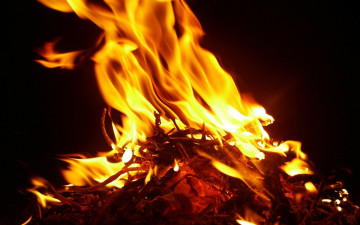 Картинка природа огонь пламя