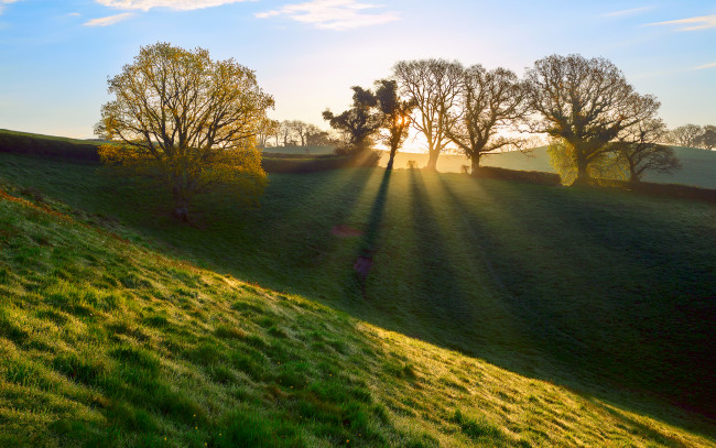 Обои картинки фото природа, восходы, закаты, утро, апрель, весна, свет, лучи, трава, великобритания, графство, девон, англия, роса