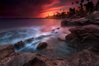 Картинка природа побережье пальмы вечер лагуна пляж калифорния штат сша