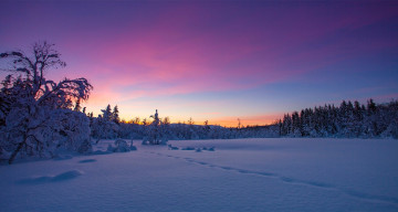 Картинка природа зима снег норвегия деревья закат