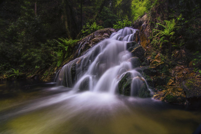 Обои картинки фото природа, водопады, лес, водопад, растения