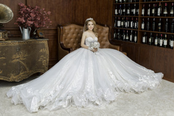 Картинка девушки -unsort+ невесты праздник фото-сессия счастливая прическа платье невеста