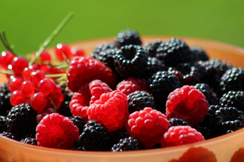 Картинка еда фрукты +ягоды витамины ассорти ягоды чёрная малина природа лето красота красная смородина контровый свет дача вкусно