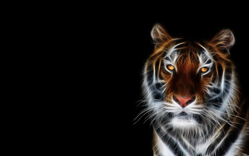 Картинка 3д+графика животные+ animals голова тигр хищник зверь