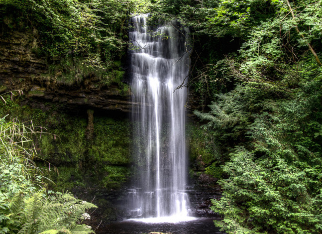 Обои картинки фото природа, водопады, glencar, waterfall, скалы, деревья, водопад, ирландия
