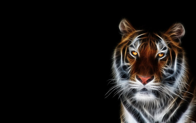 Обои картинки фото 3д графика, животные , animals, голова, тигр, хищник, зверь