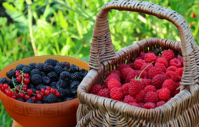 Обои картинки фото еда, фрукты,  ягоды, дача, витамины, ассорти, ягоды, урожай, лето, природа, вкусно