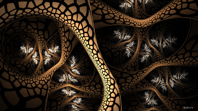 Обои картинки фото 3д графика, фракталы , fractal, цвет, фон, узор