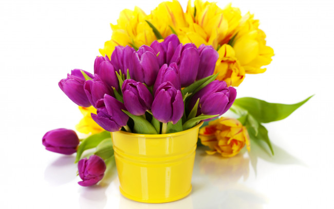 Обои картинки фото цветы, тюльпаны, ведро, розовые, желтые
