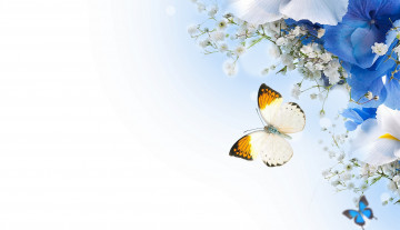 Картинка разное компьютерный+дизайн бабочки цветы