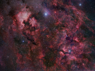 Картинка лебедь космос галактики туманности
