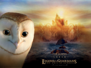 Картинка legend of the guardians owls ga’hoole мультфильмы