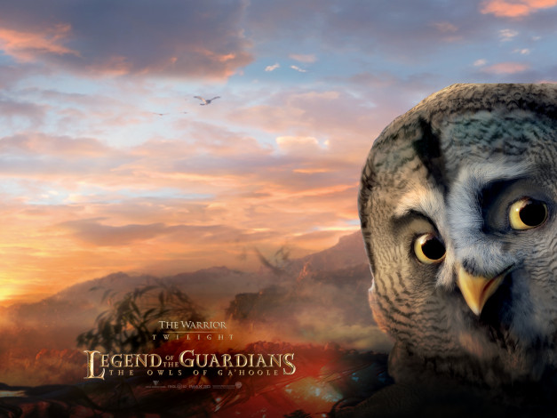 Обои картинки фото legend, of, the, guardians, owls, ga’hoole, мультфильмы