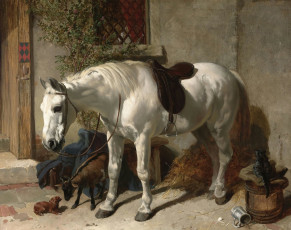 Картинка рисованные john frederick herring белая лошадь