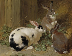 Картинка рисованные john frederick herring кролики