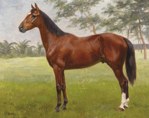 Картинка рисованные oskar merte конь