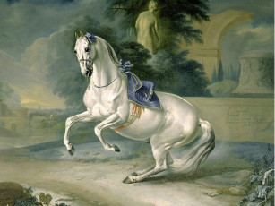 Картинка рисованные johann georg hamilton белый жеребец