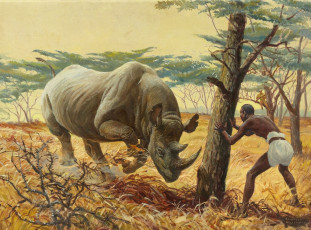 Картинка рисованные courtney allen носорог