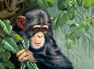 Картинка рисованные guy coheleach обезьяна