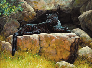 Картинка рисованные guy coheleach ягуар