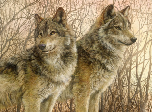 Картинка рисованные marris bonnie волки