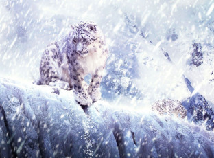 Картинка рисованные животные барсы снежный барс в горах