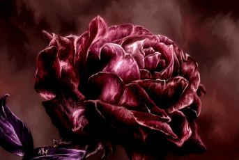 Картинка рисованные цветы роза живопись красная лепестки
