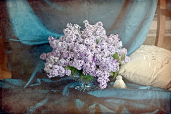 Картинка цветы сирень букет подушка текстура