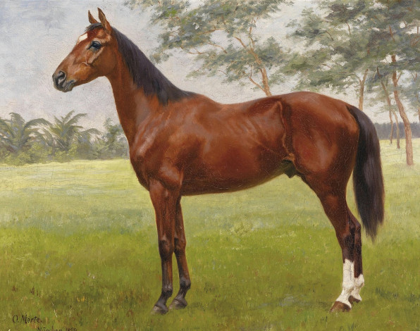 Обои картинки фото рисованные, oskar, merte, конь