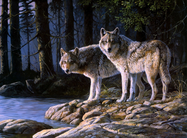 Обои картинки фото рисованные, persis, clayton, weirs, волки