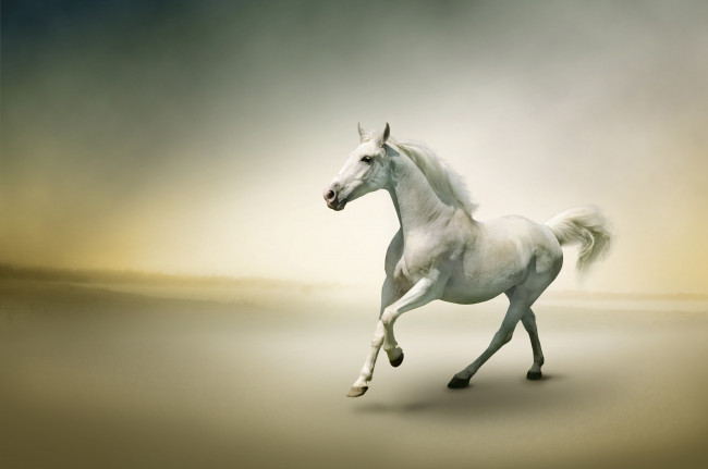 Обои картинки фото рисованные, животные, лошади, река, лошадь, туман, бег