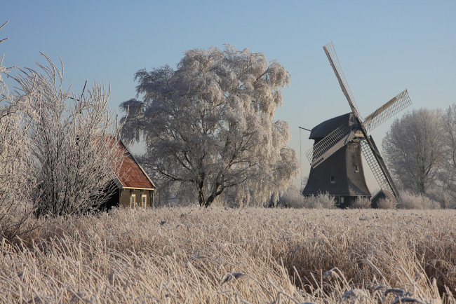 Обои картинки фото разное, мельницы, grass, windmill, house, ice, trees, winter