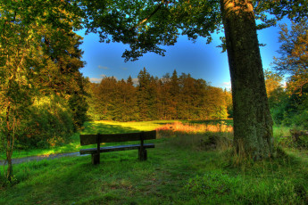 Картинка германия гессен шотен природа парк лес поляна скамейка трава