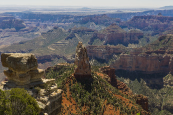 Картинка grand canyon national park arizona природа горы ели