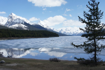 Картинка maligne lake jasper national park canada природа реки озера озеро горы пейзаж