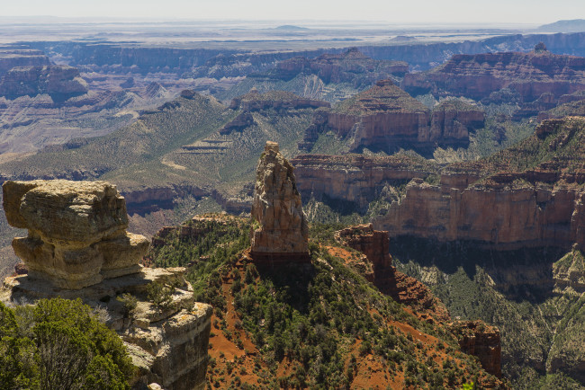 Обои картинки фото grand, canyon, national, park, arizona, природа, горы, ели