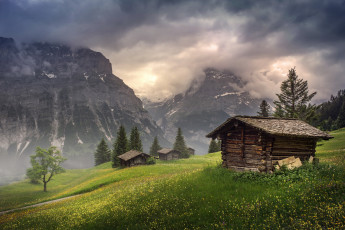 Картинка природа горы гриндельвальд домики туман облако цветы долина швейцария в кантоне берн
