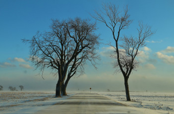 обоя природа, дороги, зима, поземка, дорога, поле, деревья, снег