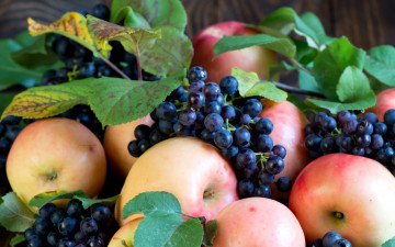 Картинка еда фрукты +ягоды яблоки виноград осень