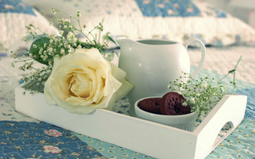 Картинка еда пирожные +кексы +печенье роза cup cookies tea biscuits sweets бисквиты чашкa печенье cakes чай food сладкое пирожное
