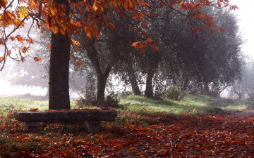Картинка природа парк осень скамья