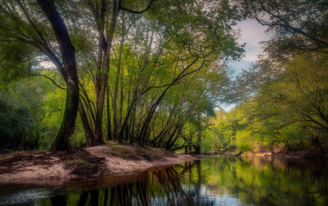 Картинка природа реки озера излучина река лес